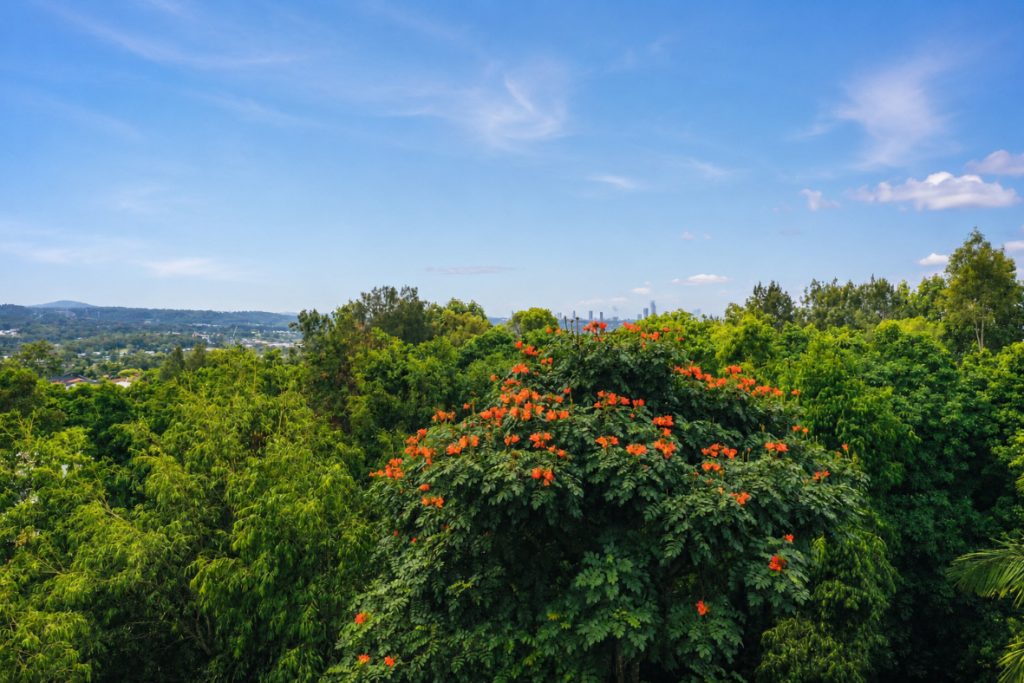 4-Bedroom Villa For Sale - Gold Coast Real Estate Agents